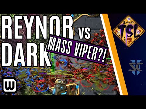 MUST WATCH: World Champs DESTROY Each Other! Reynor vs Dark