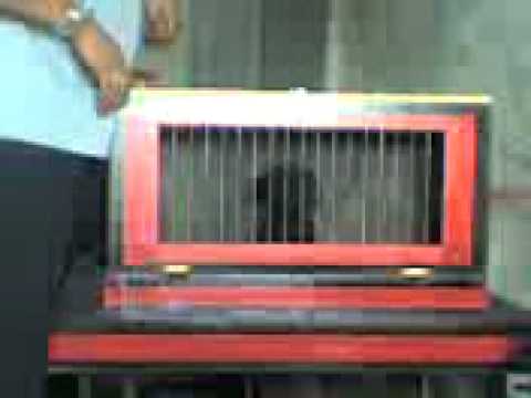 DAVID YOUNG - Magic Illusion