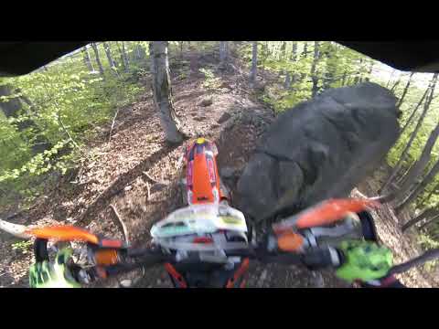 Piatra Șoimului Negativ (DBR)