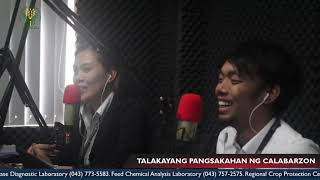 Episode 36 Radyo Eskwela sa CALABARZON Pinakbet Vegetable Production Lesson 3