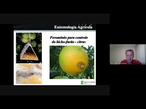 , title : 'Aula Entomologia Agrícola  Controle Comportamental, Genético, Regulatório e Biológico de Pragas'