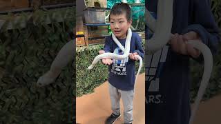 🐍ヘビとたわむれる