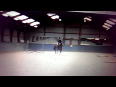 Flinstone, v. Quasimodo van de Molendreef