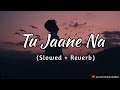 Tu Jaane Na Slowed Reverb Lofi Music Atif Aslam Use Headphones For Better Experience