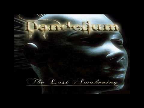 Dandelium - Burning Hearts