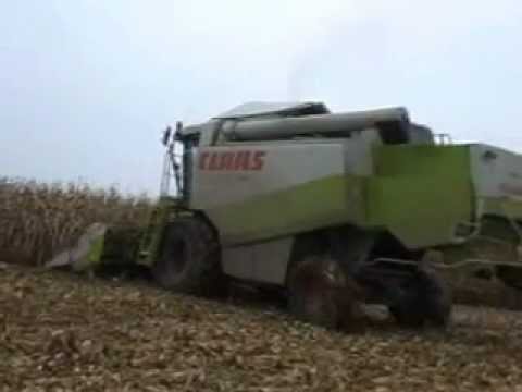 Persyn - Steelandt: Mais dorsen.