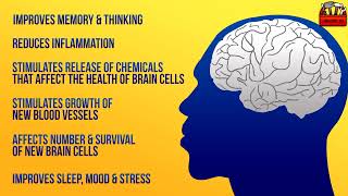 Brain Hacks—9