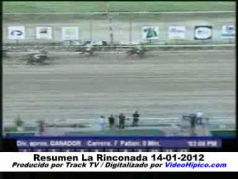 Resumen de las carreras del 14-1-2012 (La Rinconada)