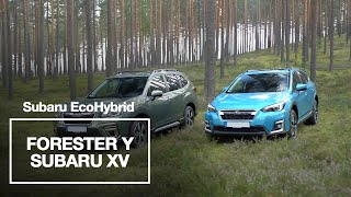 Nueva gama Subaru ecoHYBRID: olvídate de elegir el camino fácil Trailer