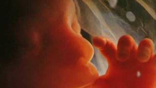 Development Week 20 Video