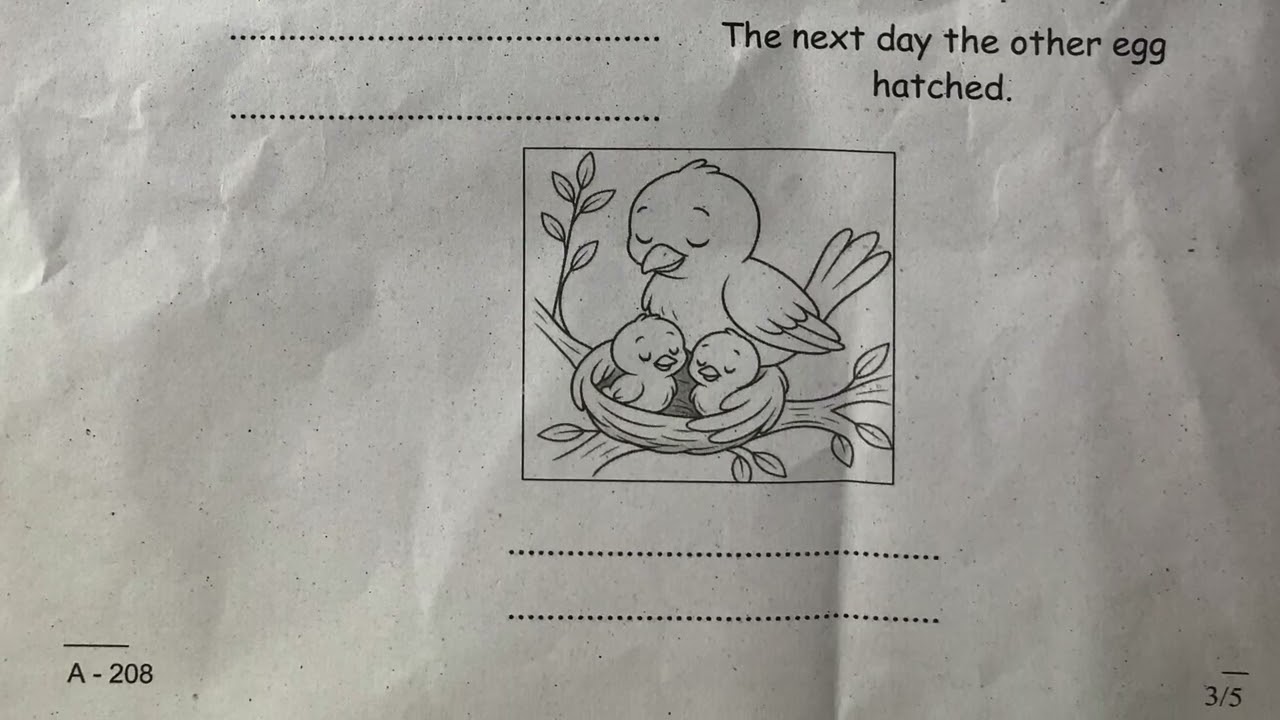 Class 2 English 2nd term Exam Question Paper and Answer Key 2025| English Christmas exam