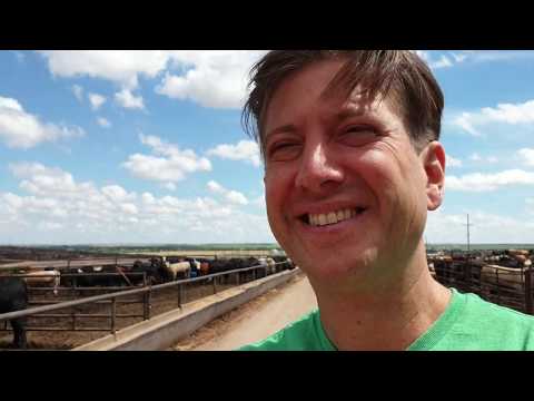 The WILD WILD WEST Dodge City | Boot Hill Museum | Kansas Teenagers talk CALF FRIES