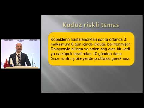 13 kuduz asisi (Erişkin Bağışıklama Akademisi)