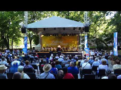 Orchestra Ansanblului Folcloric Național Transilvania Baia Mare - Ritmuri Transilvănene