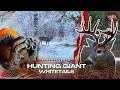HUGE Saskatchewan Whitetail Canada In The Rough