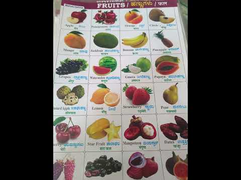 Fruits Name English, Hindi And Kannada