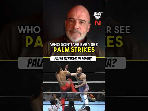 Why are palm strikes so effective? Bas Rutten explains!