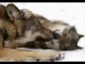 КОЛЫБЕЛЬНАЯ. ПОДАРИ МНЕ, НОЧКА, СОН. 