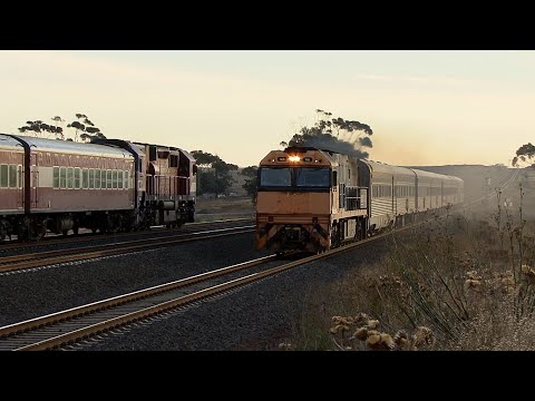 Manor Loop Train in the Evening: Australian Trains