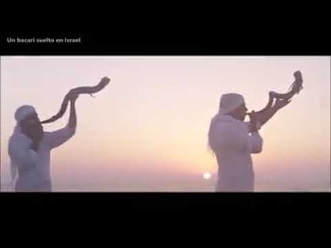 Bohi Kala -  Levitas cantan a los novios.