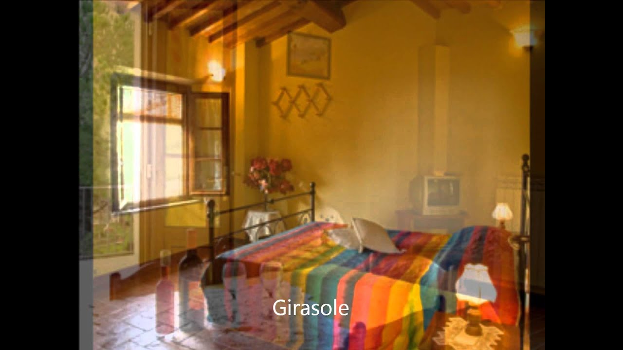Video Terre Di Toscana