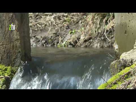 Ponovo radi vodenica u Lasovu