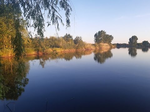 Fiderom na Babuske! Feeder fishing !