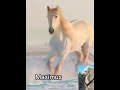 Tangled Characters In Real Life