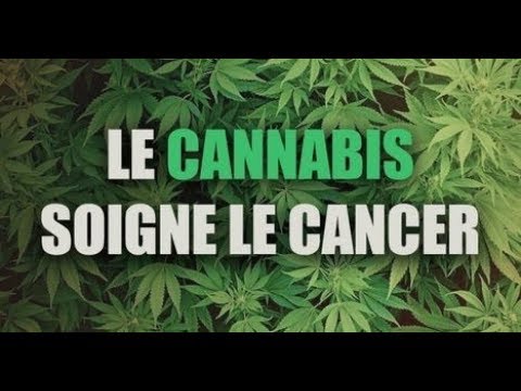 Docteur prescrivez moi du cannabis