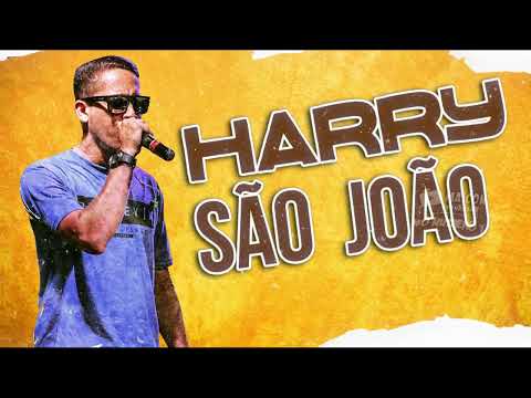 HARRY O TOP DA BREGADEIRA SÃO JOÃO🔥