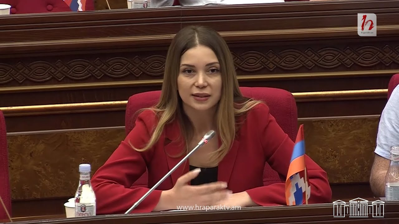 Թռնեք օդ, իջնեք ներքև, միևնույնն է, սա ՀԷՑ-ը խլելու նախագիծ է. Աննա Գրիգորյանը՝ փոխնախարարին