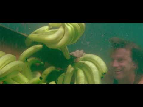 Video thumbnail for Morning Song