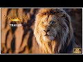 MUFASA THE LION KING TEASER TRAILER 2024 Concept