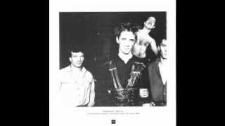 Einstuerzende Neubauten - Nag Nag Nag [Cabaret Voltaire cover]