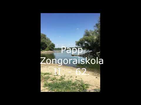 Papp Zongoraiskola II. - 62