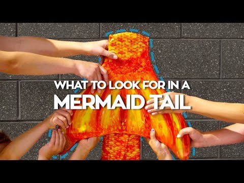 download lagu mp3 mp4 Fin Fun Mermaid Tails For Sale, download lagu Fin Fun Mermaid Tails For Sale gratis, unduh video klip Fin Fun Mermaid Tails For Sale