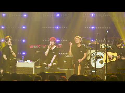 20190901 NELL(넬) - 고양이 @NELL CLUB CONCERT 2019 XX