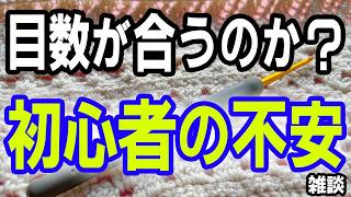 【不安】初心者が１つの作品で棒針からかぎ針に編み方を変えます。【sheepl】