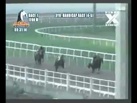 PRCI  053114 R01 5 KAISERSLAUTERN (B)