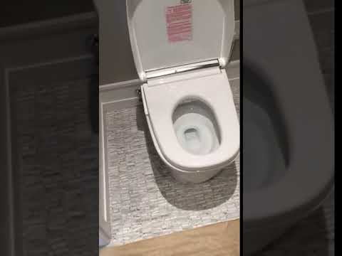 Toto Neorest Toilet   Steve Plumbing