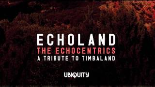 The Echocentrics - "Party People" (Echoland: A Tribute To Timbaland)