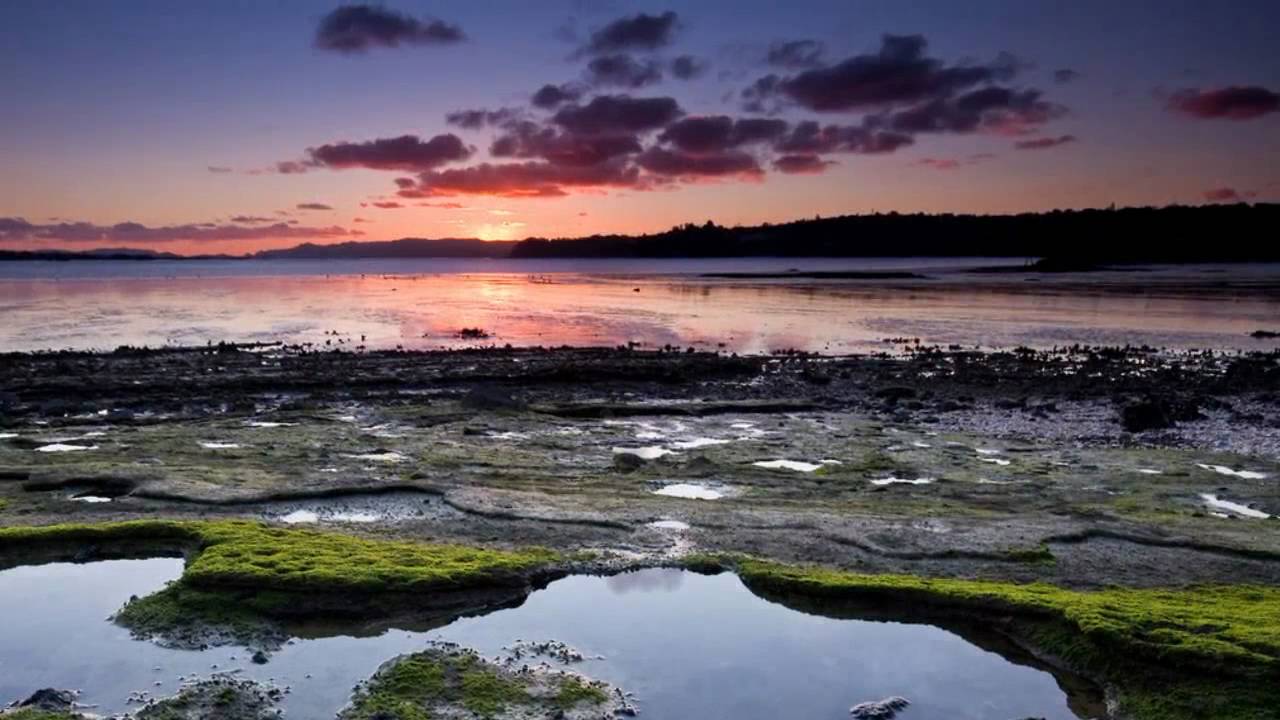 Yaaro Mujhe Muaf Rakho Lyrics | Husn-E-Jana (Album) | Chhaya Ganguli | Muzaffar Ali