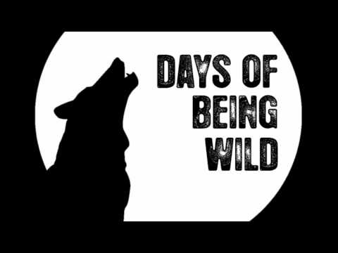 Eskimo Twins  - Akashic