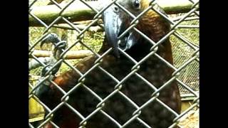 The Cakekitchen - To Be Safe In Your Arms