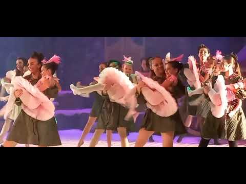 Sheilas ballet. Isa se apresenta no festival .O que os olhos não veem.