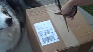 Marie Digby - Breathing Underwater Arrives !!!