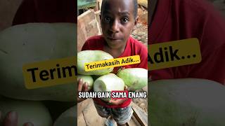 Download lagu Kita Baik Maka Orang Papua Juga Baik ‼️ mp3