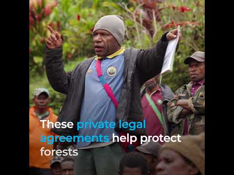 Preserving wildlife and empowering local communities through conservation deeds in Papua New Guinea