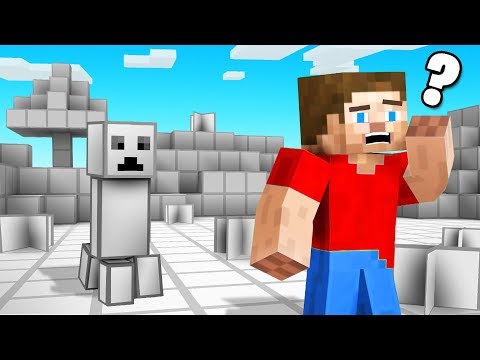 MINECRAFT But The TEXTURES Are GONE!