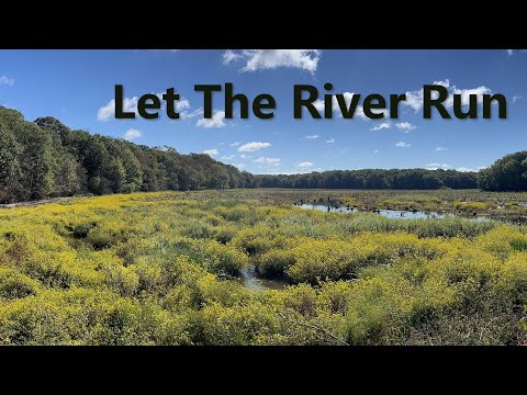 Let the Nissequogue River Run: The Case for Not Rebuilding the Failed Stump Pond Dam